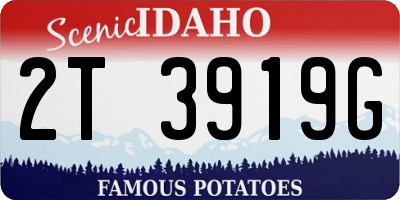 ID license plate 2T3919G