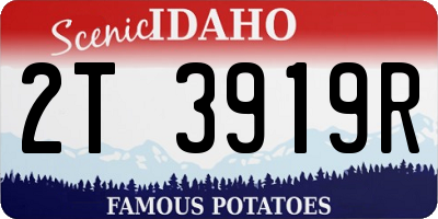 ID license plate 2T3919R