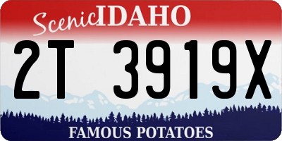 ID license plate 2T3919X
