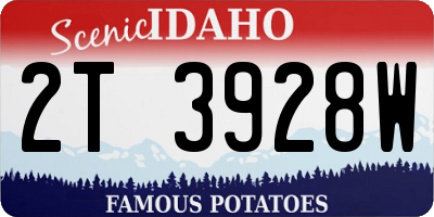 ID license plate 2T3928W