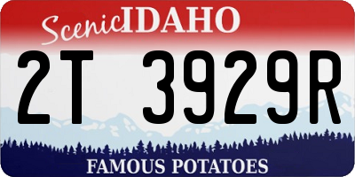 ID license plate 2T3929R