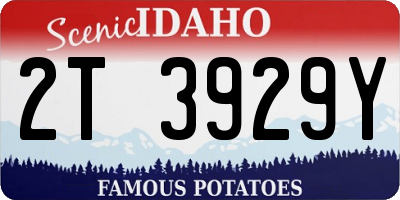 ID license plate 2T3929Y