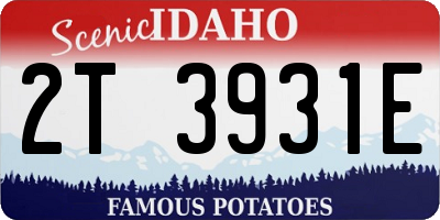 ID license plate 2T3931E