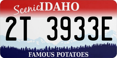 ID license plate 2T3933E