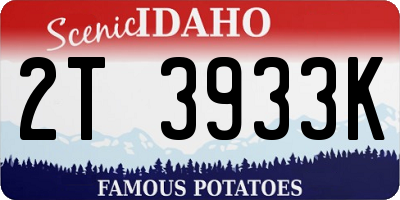 ID license plate 2T3933K