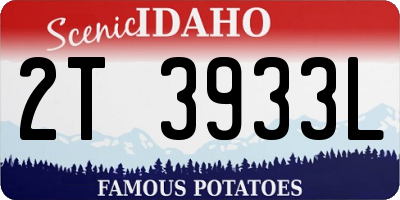 ID license plate 2T3933L