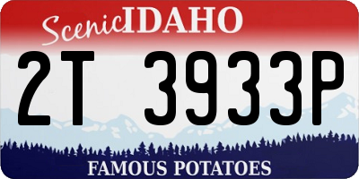 ID license plate 2T3933P