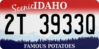 ID license plate 2T3933Q