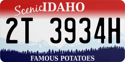 ID license plate 2T3934H