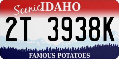 ID license plate 2T3938K