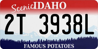 ID license plate 2T3938L