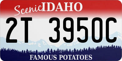 ID license plate 2T3950C
