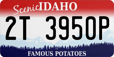ID license plate 2T3950P