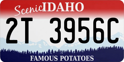 ID license plate 2T3956C
