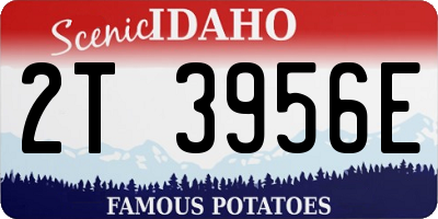 ID license plate 2T3956E