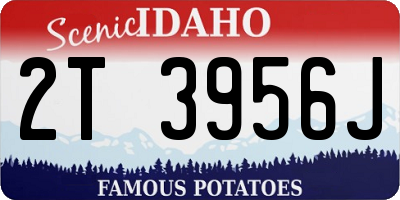 ID license plate 2T3956J