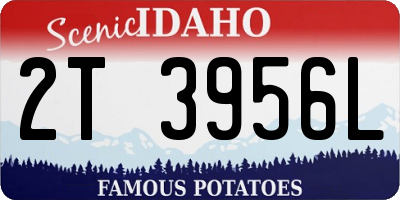 ID license plate 2T3956L