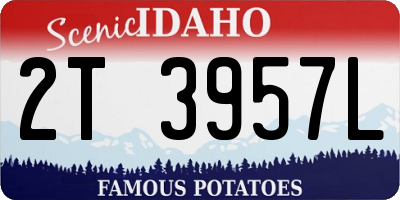 ID license plate 2T3957L