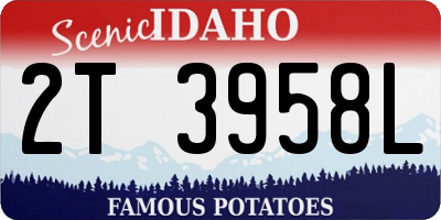 ID license plate 2T3958L