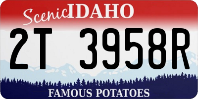 ID license plate 2T3958R