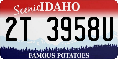 ID license plate 2T3958U