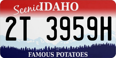 ID license plate 2T3959H
