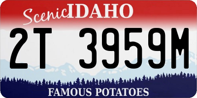 ID license plate 2T3959M
