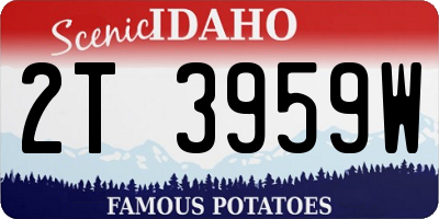 ID license plate 2T3959W