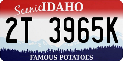 ID license plate 2T3965K