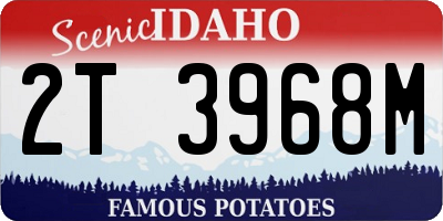 ID license plate 2T3968M