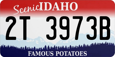 ID license plate 2T3973B