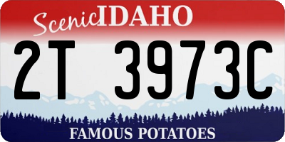ID license plate 2T3973C