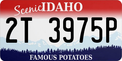 ID license plate 2T3975P