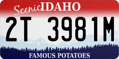 ID license plate 2T3981M