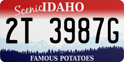ID license plate 2T3987G