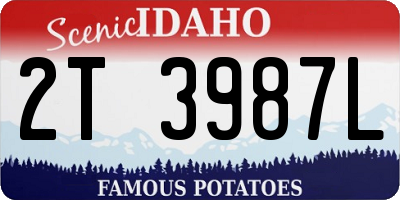 ID license plate 2T3987L