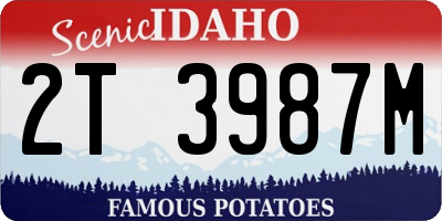ID license plate 2T3987M