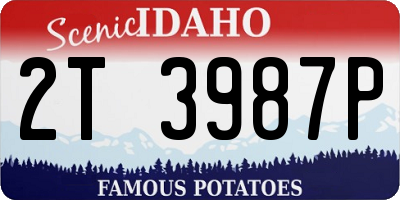 ID license plate 2T3987P