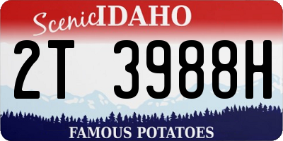 ID license plate 2T3988H