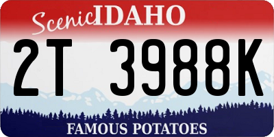 ID license plate 2T3988K