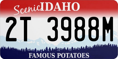 ID license plate 2T3988M