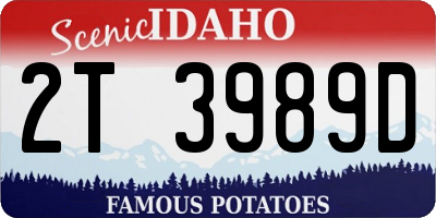 ID license plate 2T3989D