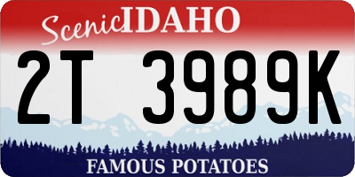ID license plate 2T3989K