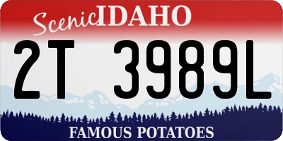 ID license plate 2T3989L