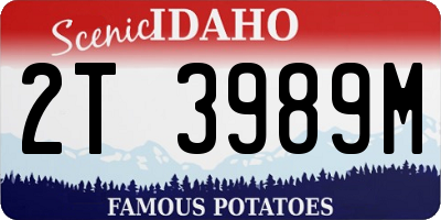 ID license plate 2T3989M