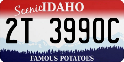 ID license plate 2T3990C