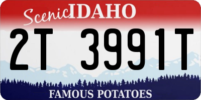 ID license plate 2T3991T