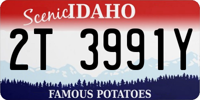 ID license plate 2T3991Y