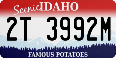 ID license plate 2T3992M
