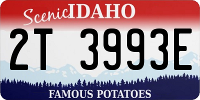 ID license plate 2T3993E